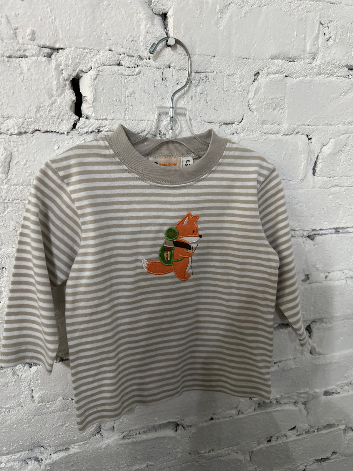 Fox with hiking gear shirt
