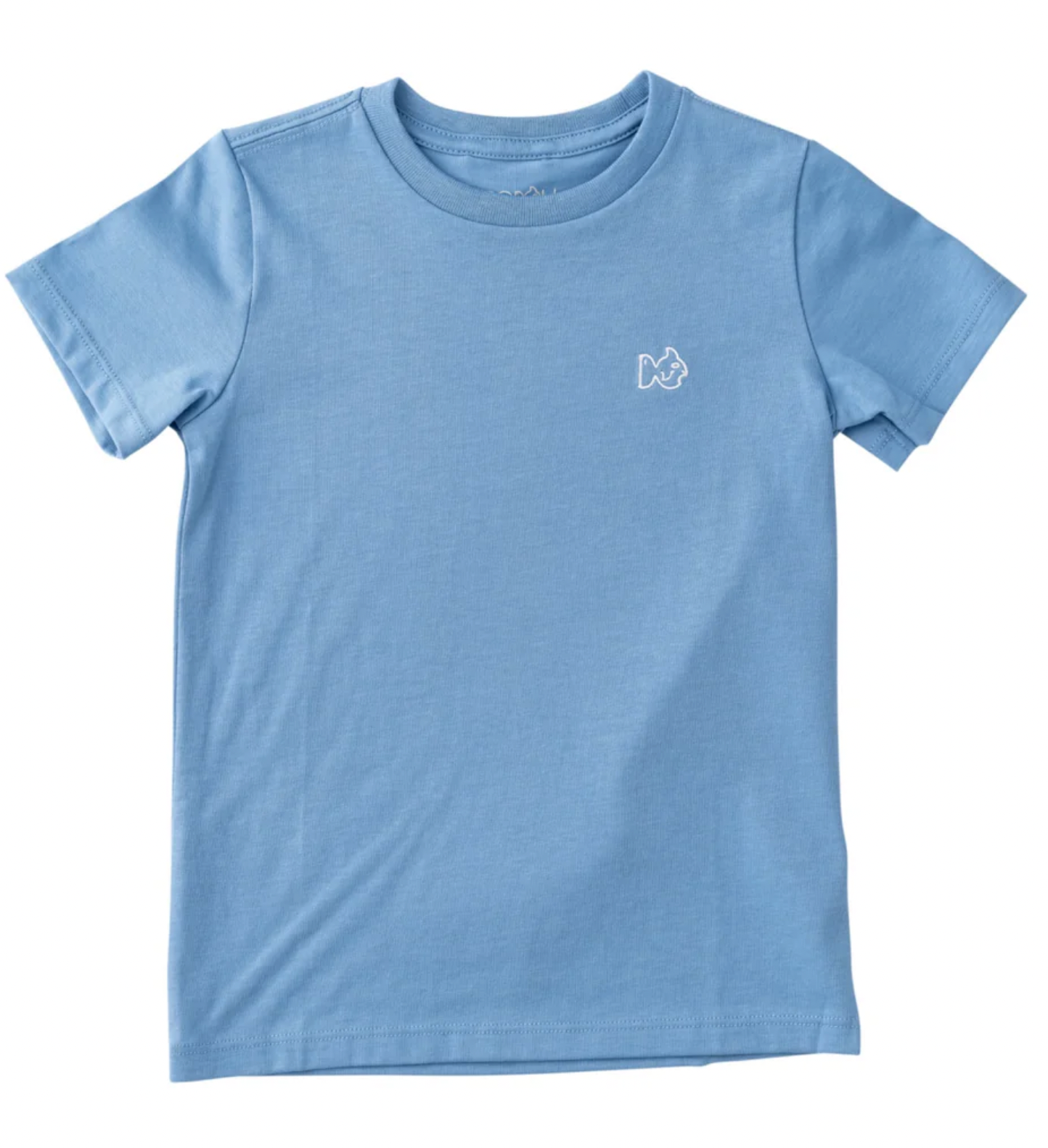Solid Ashleigh Blue T-Shirt