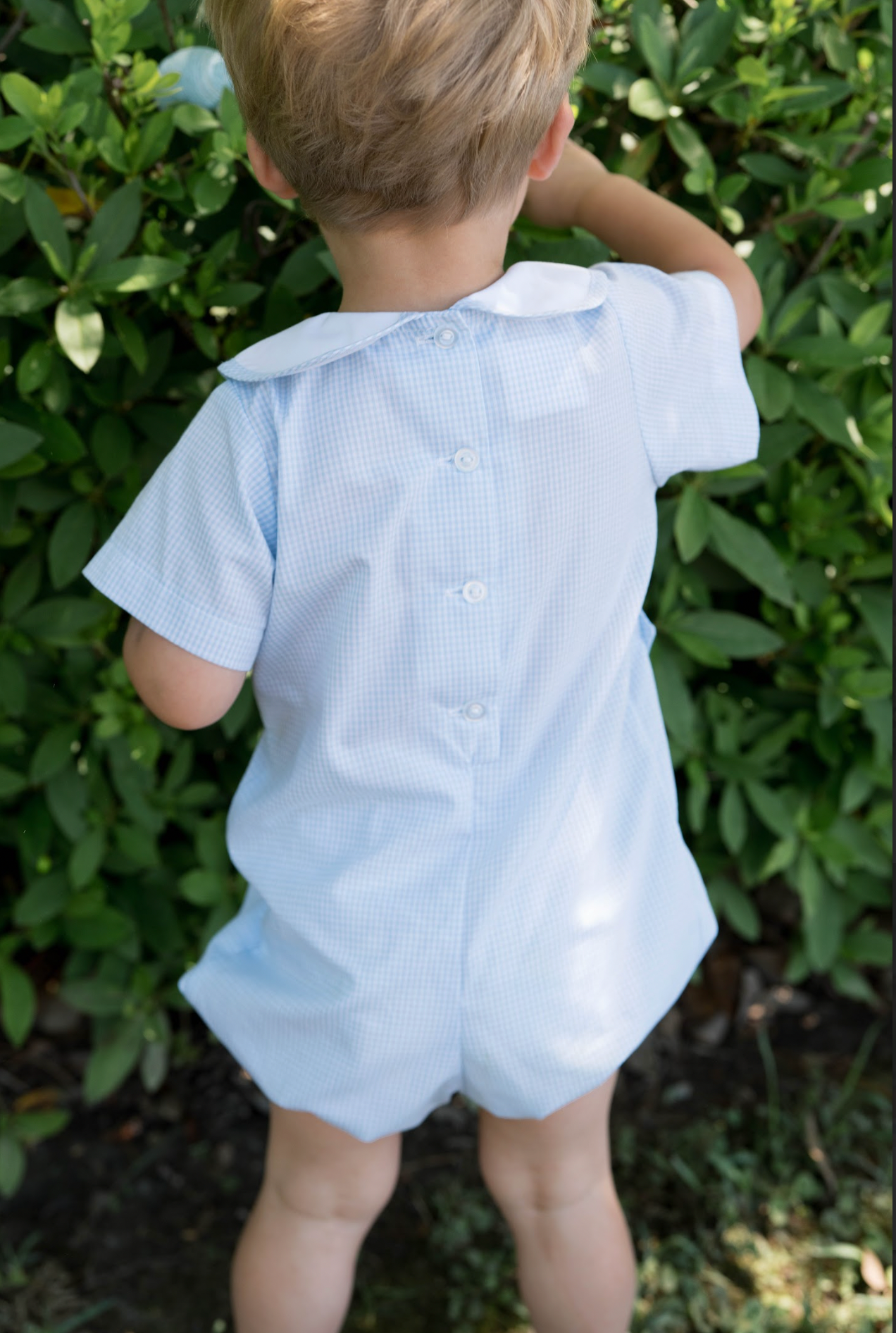 Andrew Bubble- Baker Blue Minigingham