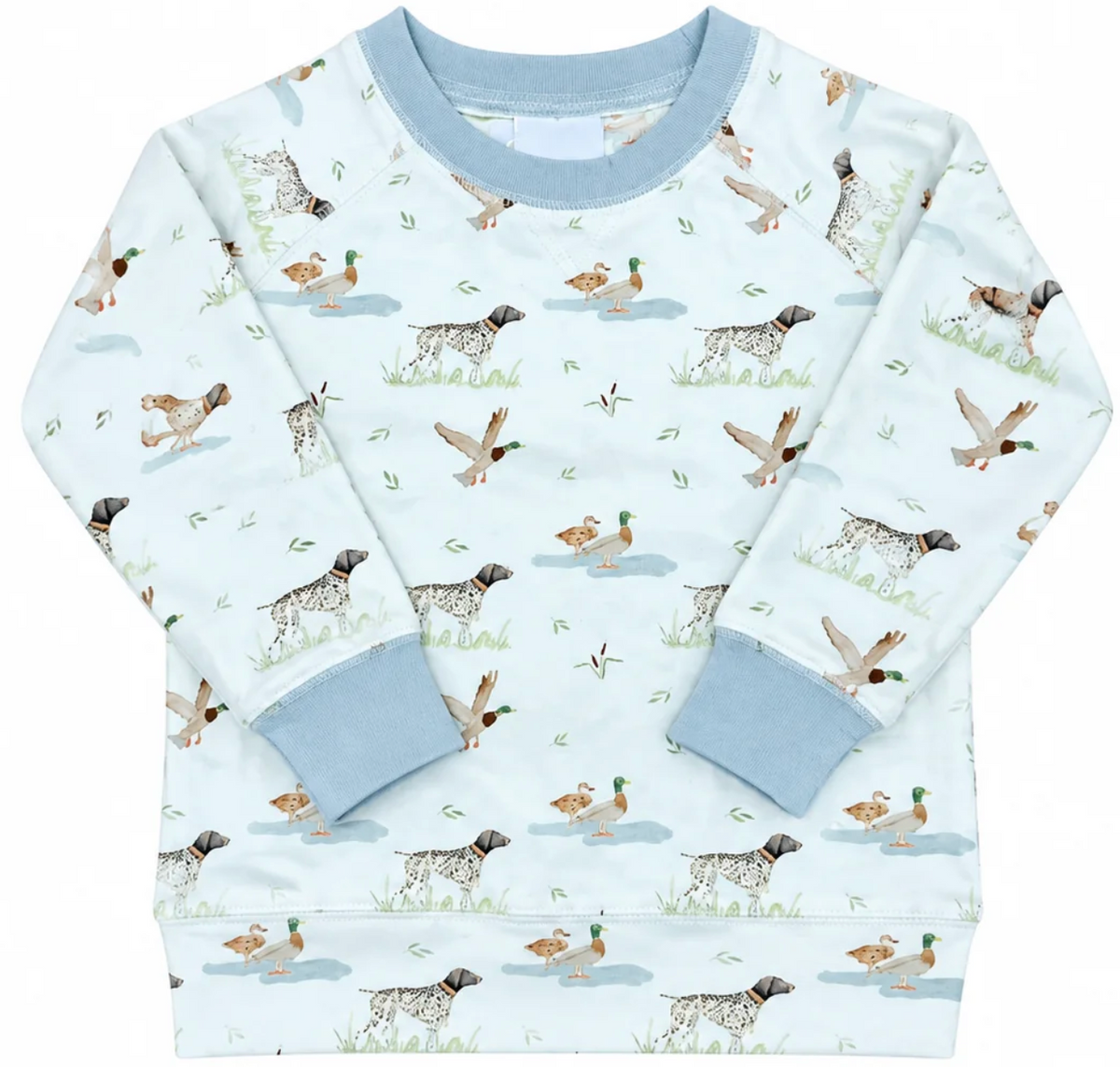 Campbell Sweatshirt in Duck Duck Dog