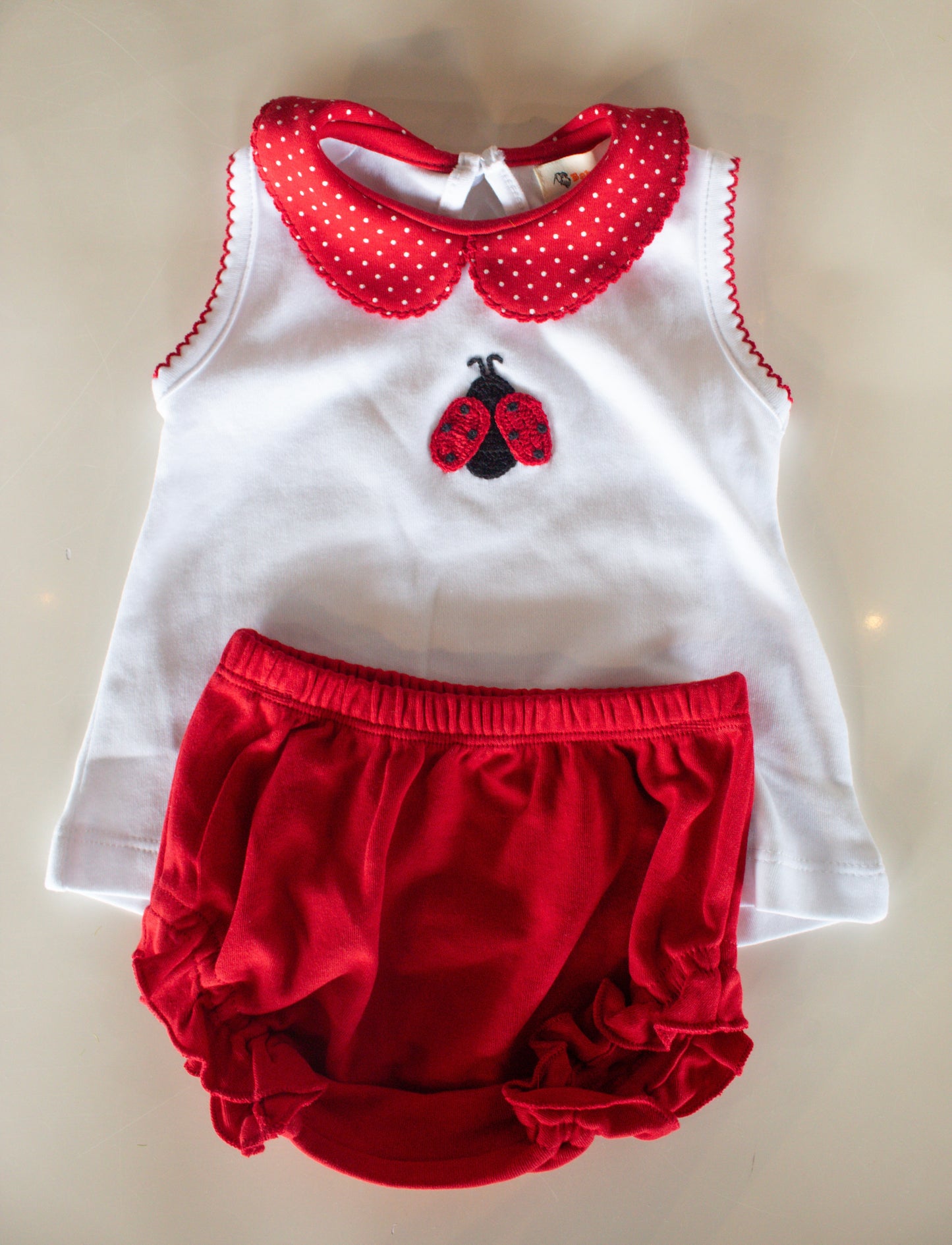 Ladybug Diaper Set
