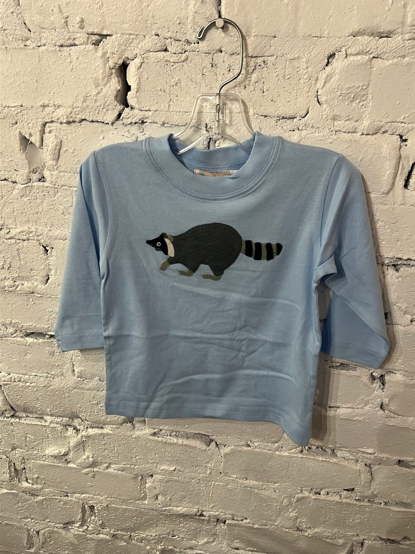 Racoon On Sky Blue Long Sleeve