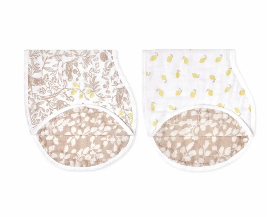 Aden+Anais - SILKY SOFT BURPY BIB 2 PACK