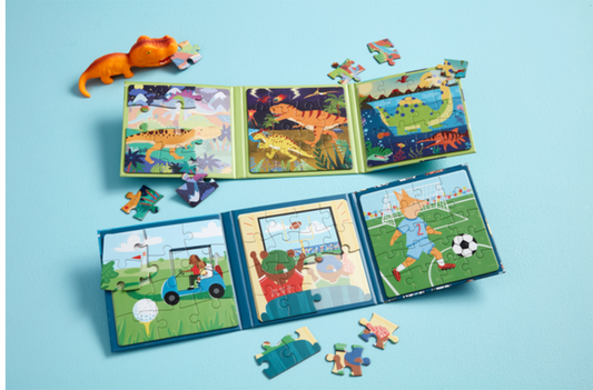 Magnetic Puzzles