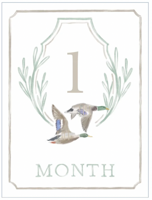 Flyin' South Milestone Cards Crest