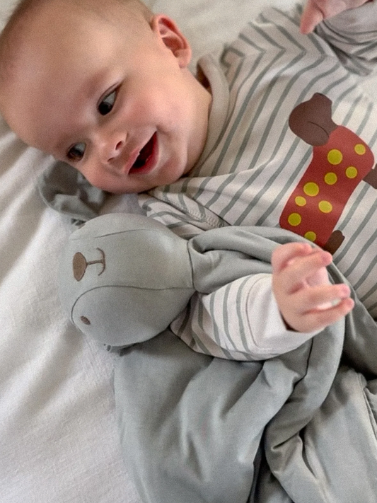 Lovey Bunny