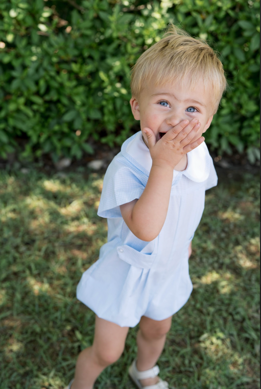 Andrew Bubble- Baker Blue Minigingham