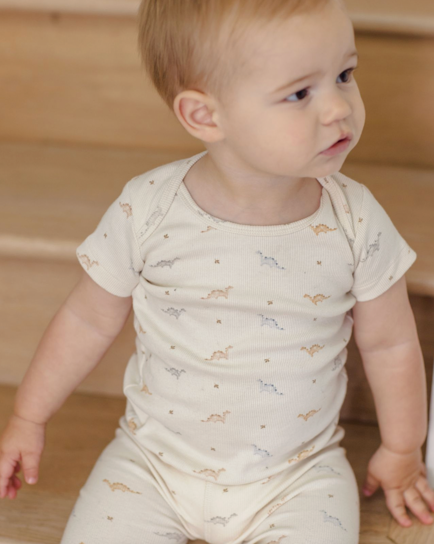 Ribbed Short Sleeve Tee + Legging Set in Dinos