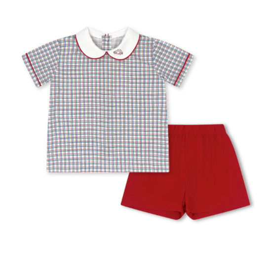 Sibley Set - Primary Plaid