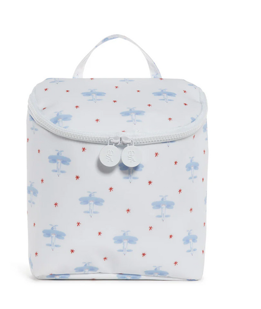 TAKE AWAY INSULATED LUNCH BAG - DAVID'S AIRPLANE