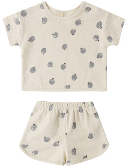 Spongy Blueberry Play Set